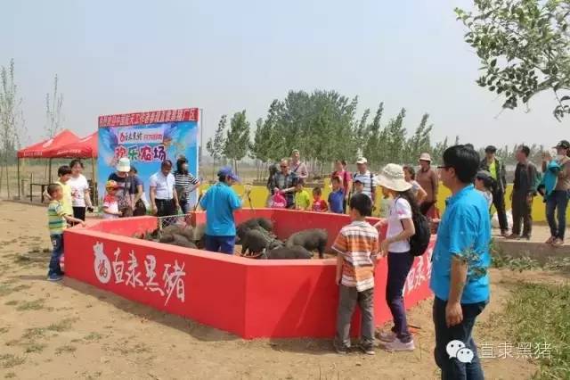 SS:网站文件:20160907162017471609.jpg;原始文件:64024.jpg 64024.jpg