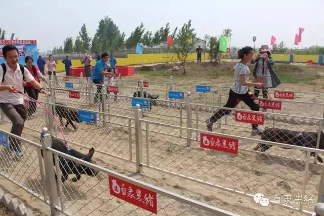 SS:网站文件:20160907162028784974.jpg;原始文件:64025.jpg 64025.jpg