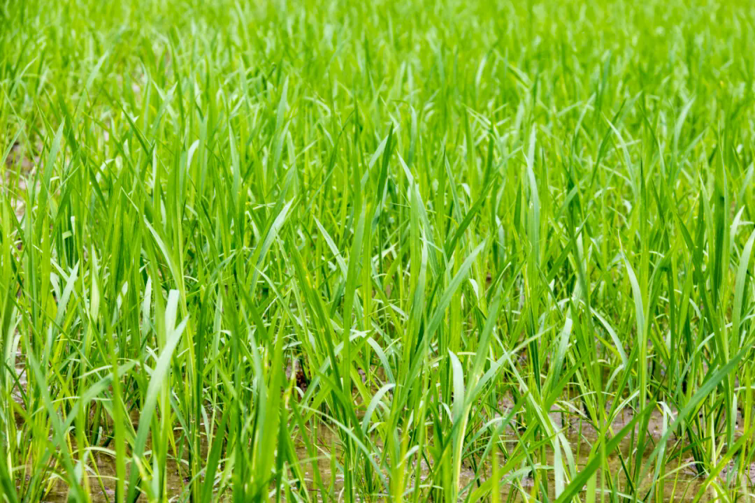 SS:网站文件：20250327144218635985.png；原始文件：640.webp (2).png