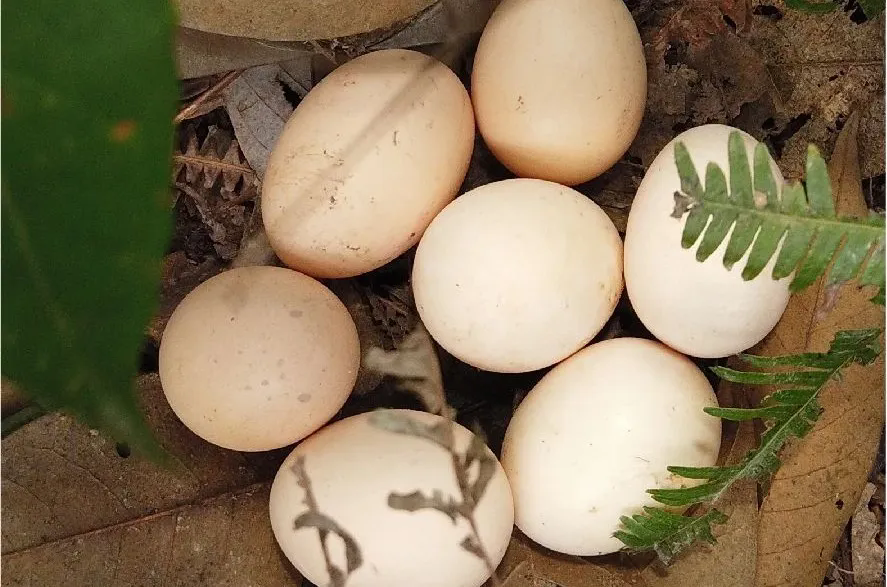 SS:网站文件：20250416110035502798.png；原始文件：640.webp (7).png