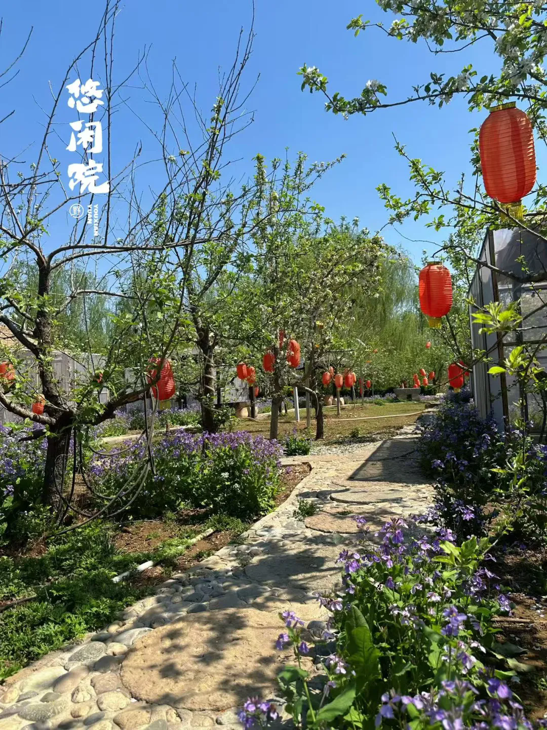 SS:网站文件：20250508150249694150.png；原始文件：640.webp (2).png