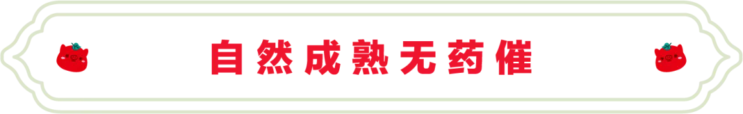SS:网站文件：20250613152220965906.png；原始文件：640.webp (7).png