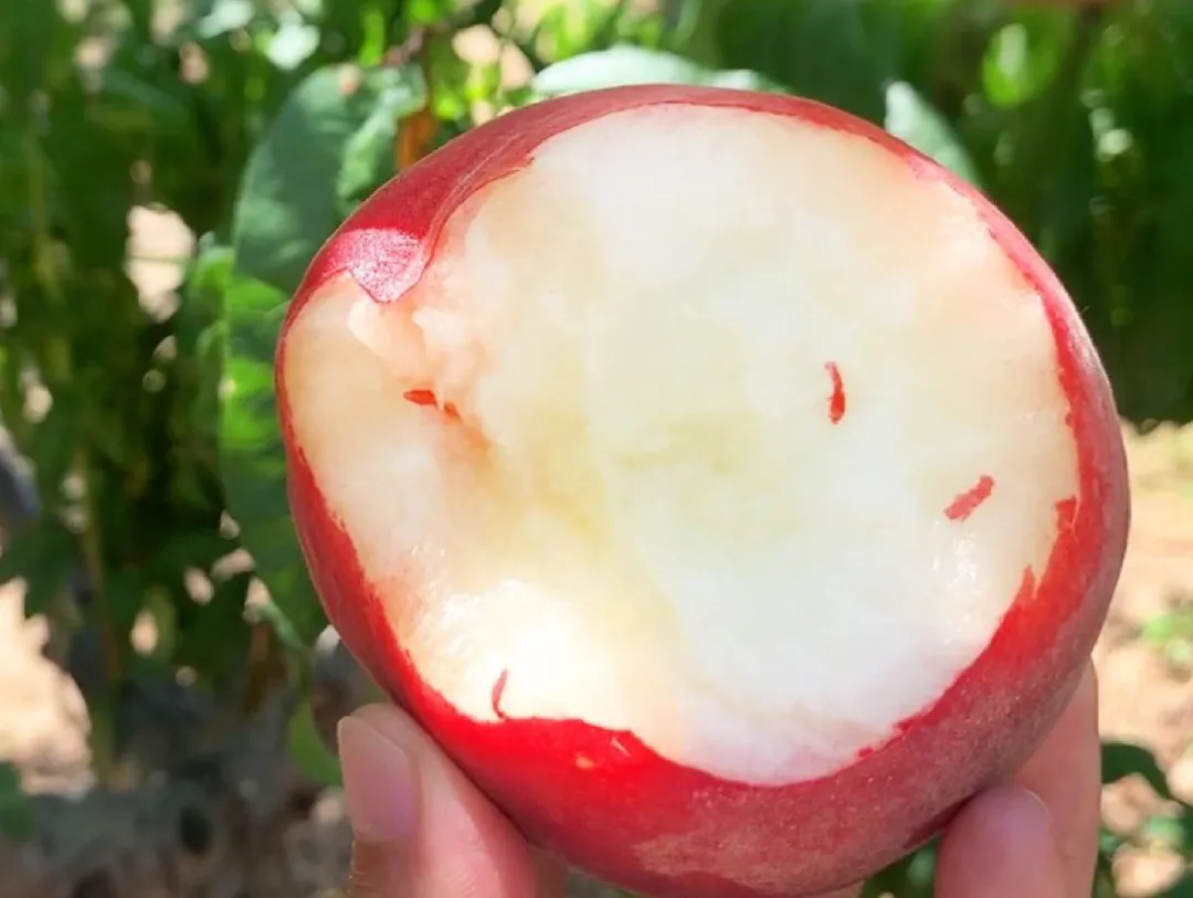 SS:网站文件：20250613152403607743.png；原始文件：640.webp (4).png