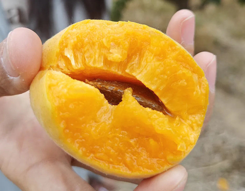 SS:网站文件：20250613152437222283.png；原始文件：640.webp (5).png