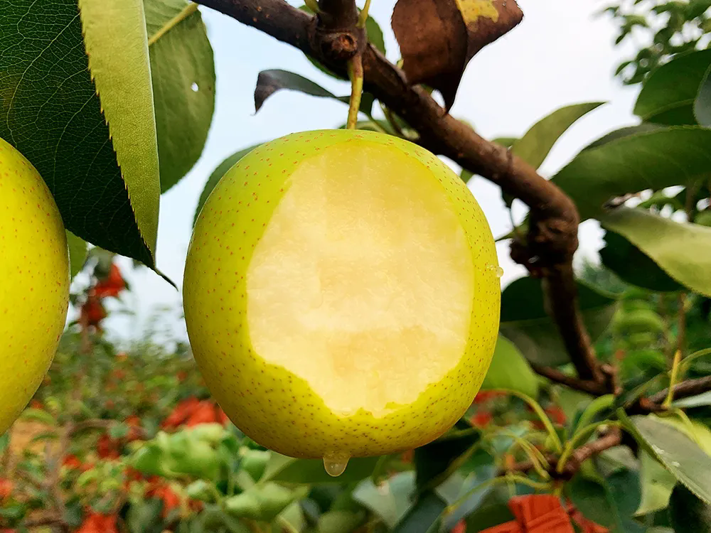 SS:网站文件：20250818091457141833.png；原始文件：640.webp (4).png