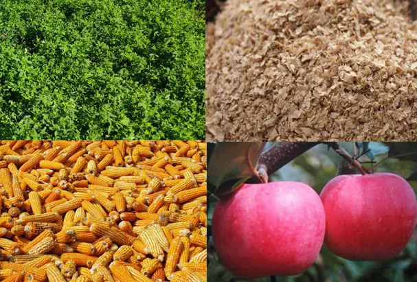 SS:网站文件：20251030113116293677.png；原始文件：640.webp (3).png